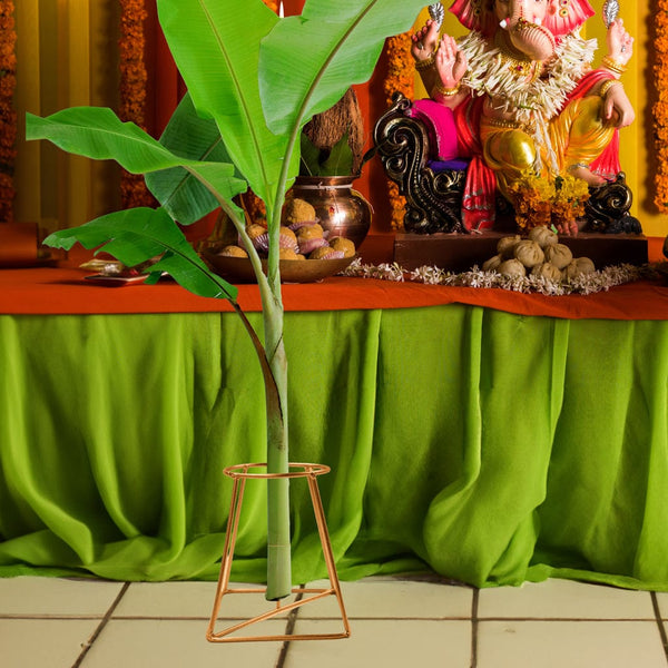 TrustBasket Banana Stand / Holder For Pooja