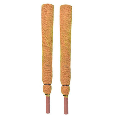 Coir Moss Stick/Coco Pole for Climbing Indoor Plants (Set of 2)