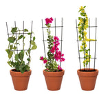 TrustBasket Metal Plant Trellis | Plant Support For Climbers| Indoor/Outdoor | For Balcony, Living Room Decor