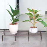 Indigo Planter Stand for Plants