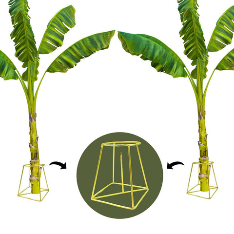 TrustBasket Banana Stand / Holder For Pooja