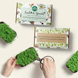 Seeds To Sprouts Microgreens Kit