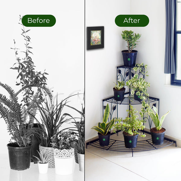 TrustBasket Corner Stand Stair-Step Style flower pot stand for Garden