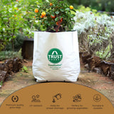 TrustBasket UV Treated Poly Grow Bags for Terrace Gardening| LDPE Grow Bags for Balcony