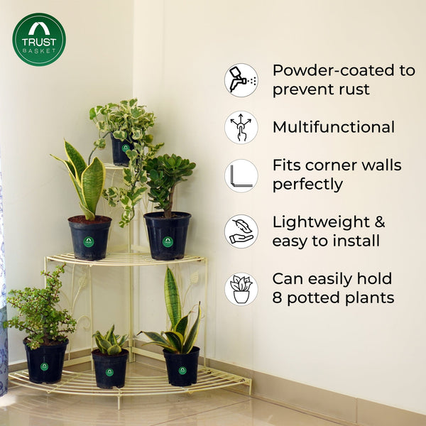 TrustBasket Corner Stand Stair-Step Style flower pot stand for Garden