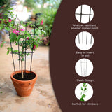 TrustBasket Metal Plant Trellis | Plant Support For Climbers| Indoor/Outdoor | For Balcony, Living Room Decor