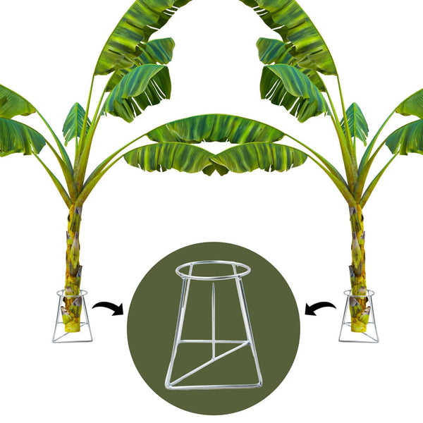 TrustBasket Banana Stand / Holder For Pooja