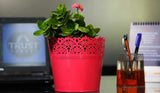 Lace Planter-Set of 5 (Yellow, Teal, Red, Orange, Purple)