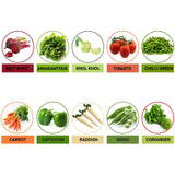 TrustBasket Hybrid Vegetable  Seeds  - Set  of 10