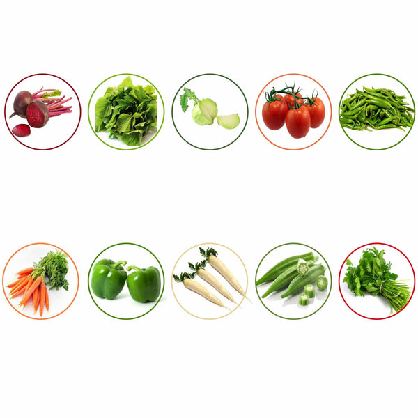 TrustBasket Hybrid Vegetable  Seeds  - Set  of 10