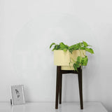 Costa Mid Century Stand with Pot