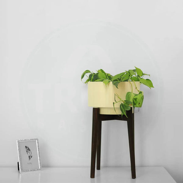 Costa Mid Century Stand with Pot