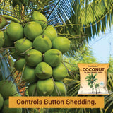 Coconut Plant Fertilizer