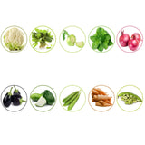 TrustBasket Hybrid Vegetable  Seeds  - Set  of 10