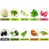 TrustBasket Hybrid Vegetable  Seeds  - Set  of 10