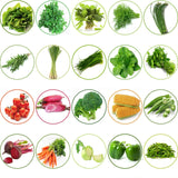 TrustBasket Hybrid Vegetable  Seeds  - Set  of 20