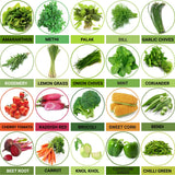 TrustBasket Hybrid Vegetable  Seeds  - Set  of 20