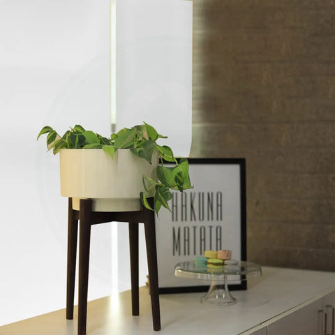 Costa Mid Century Stand with Pot