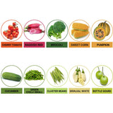 TrustBasket Hybrid Vegetable  Seeds  - Set  of 10