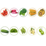 TrustBasket Hybrid Vegetable  Seeds  - Set  of 10