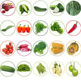 TrustBasket Hybrid Vegetable  Seeds  - Set  of 20