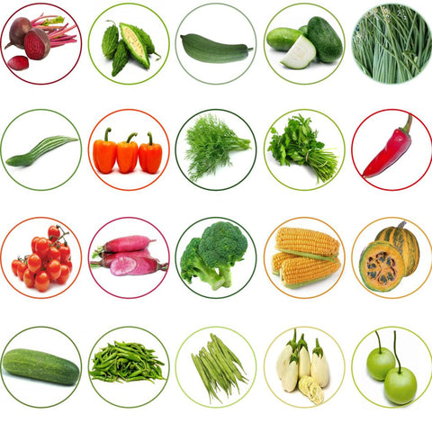 TrustBasket Hybrid Vegetable  Seeds  - Set  of 20