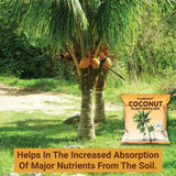 Coconut Plant Fertilizer