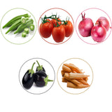 TrustBasket Hybrid Vegetable Seeds - Set of 5