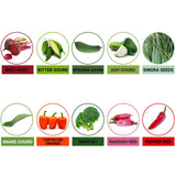 TrustBasket Hybrid Vegetable  Seeds  - Set  of 10