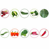TrustBasket Hybrid Vegetable  Seeds  - Set  of 10