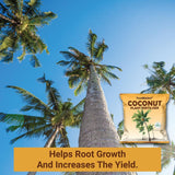 Coconut Plant Fertilizer