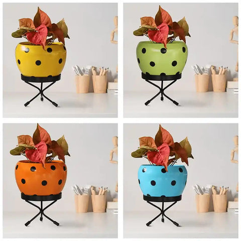 BEST COLOURFUL PLANT POTS - Leo Planter (Set of 4)