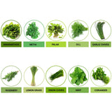 TrustBasket Hybrid Vegetable  Seeds  - Set  of 10