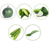TrustBasket Hybrid Vegetable Seeds - Set of 5