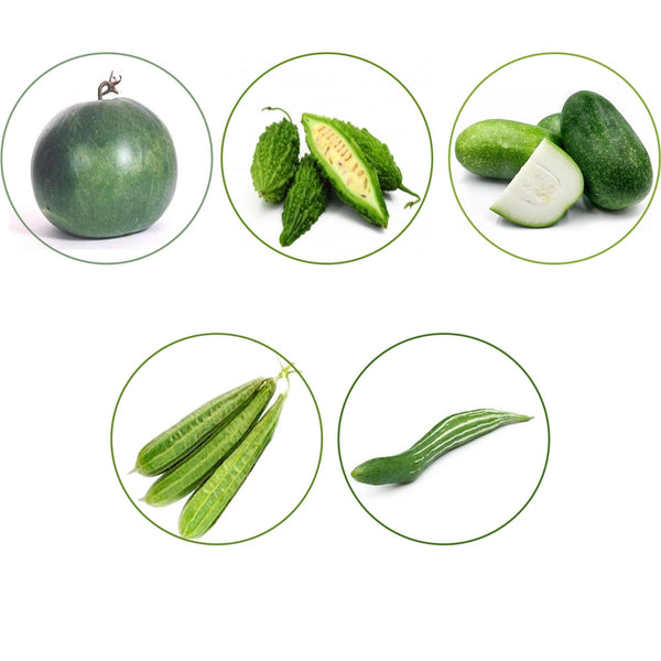 TrustBasket Hybrid Vegetable Seeds - Set of 5