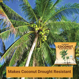 Coconut Plant Fertilizer