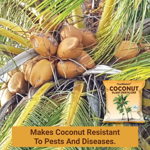 fertilizer for coconut plants Coconut Plant Fertilizer – TrustBasket