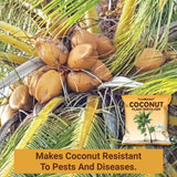 Coconut Plant Fertilizer