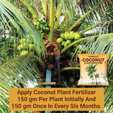 Coconut Plant Fertilizer