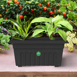 UV Treated Rectangular Plastic Planters (14 inches)