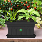 TrustBasket UV Treated 15.3 inch Rectangular Bottom Tray(Plate/Saucer) Suitable for 16 inch Rectangular Plastic  Pot