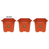 LARGE SIZE GARDEN POTS & PLANTERS ONLINE - UV Treated  Square Plastic Planter (10 inches)