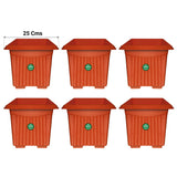 UV Treated  Square Plastic Planter (10 inches)
