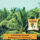 Coconut Plant Fertilizer