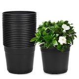 Bhuvi Nursery Pots (Set of 10)