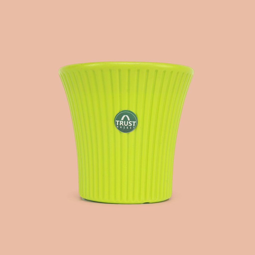 TrustBasket Tancy Pot 6-inch Table Top Planter Pot (Pack of 4)