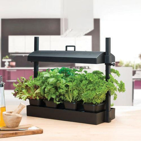 Gardening Tool Kit Online - TrustBasket Indoor jungle - plant growing system with lights