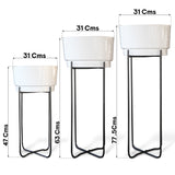 Creata Planter (Set of 3)