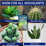 Succulent and Cactus Potting Soil Mix