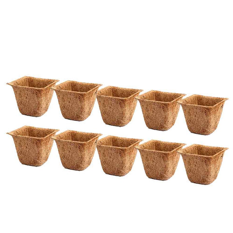 Coir Pots - 6.5 inches (Set of 10)